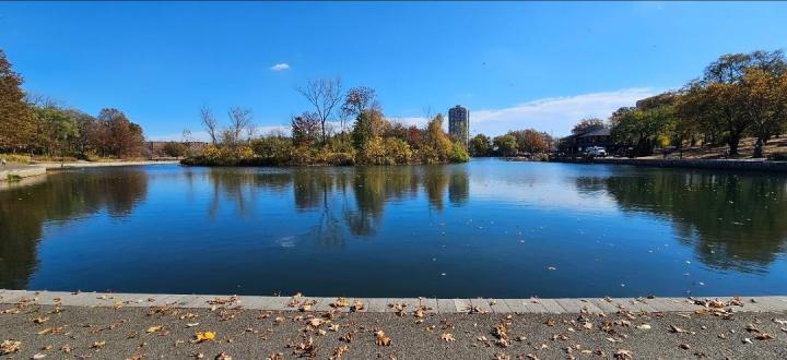 Photo of 8800 Boulevard 4b