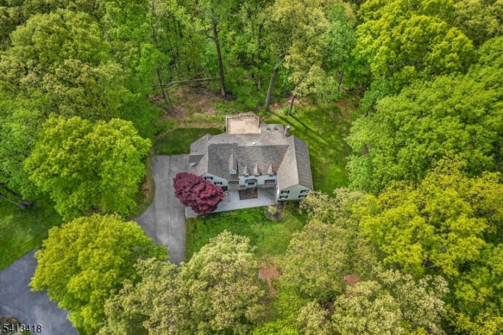 Photo of 31 Warren Cutting