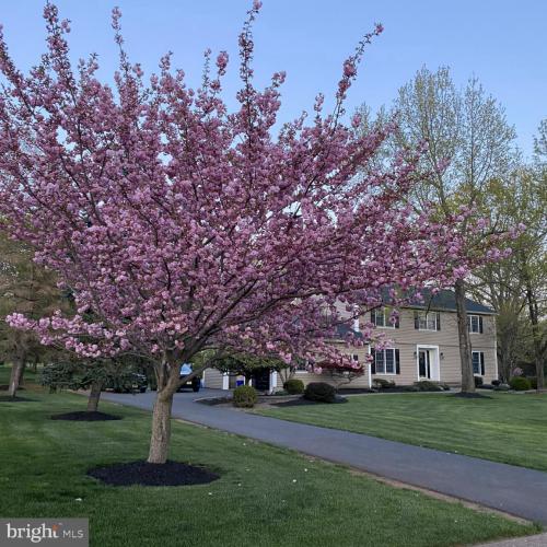 Photo of 100 Knickerbocker Drive