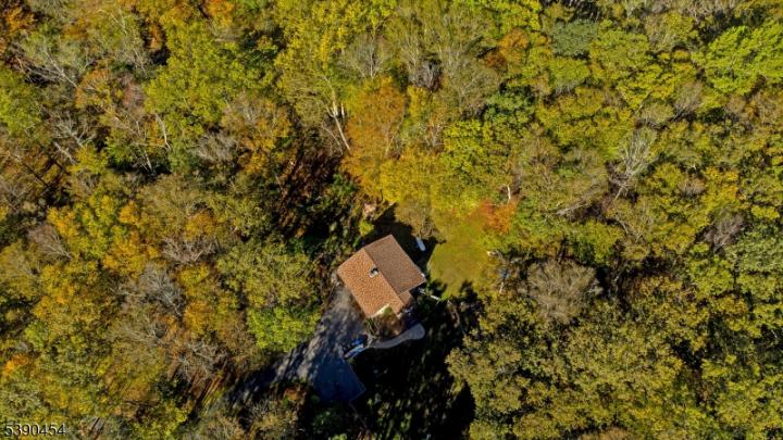 Photo of 85 Mohican Road