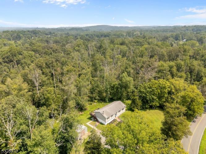 Photo of 411 Shades Of Death Road