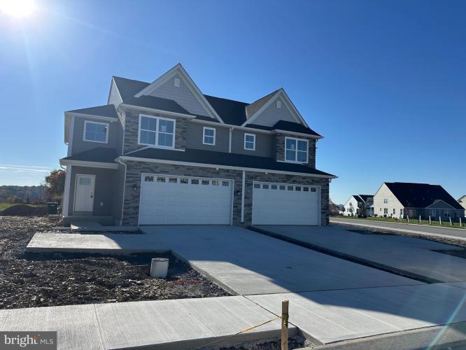 Photo of 190 Ida Red Lot150