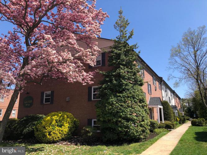 61 Llanfair Road A1, Ardmore PA 19003 for sale by EveryHome Realtors