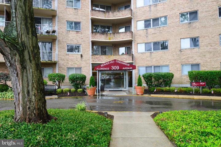 Photo of , Jenkintown PA