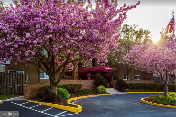 Photo of 46 Township Line Road 215